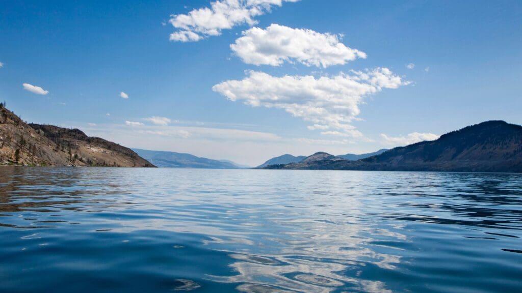 Through my manifesting process, I've been able to bring to life many things. 