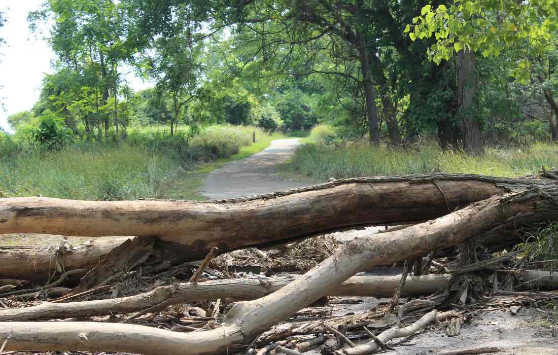 The only way to achieve financial freedom is to tackle both parts of the equation. 