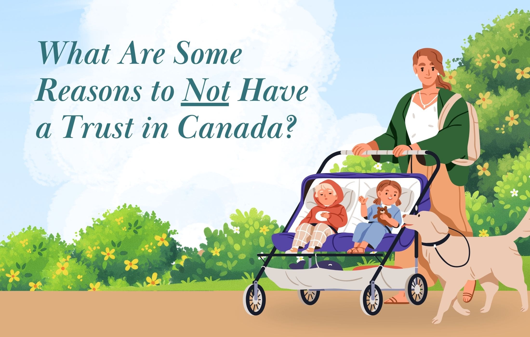 What Are Reasons to Not Have a Trust in Canada?